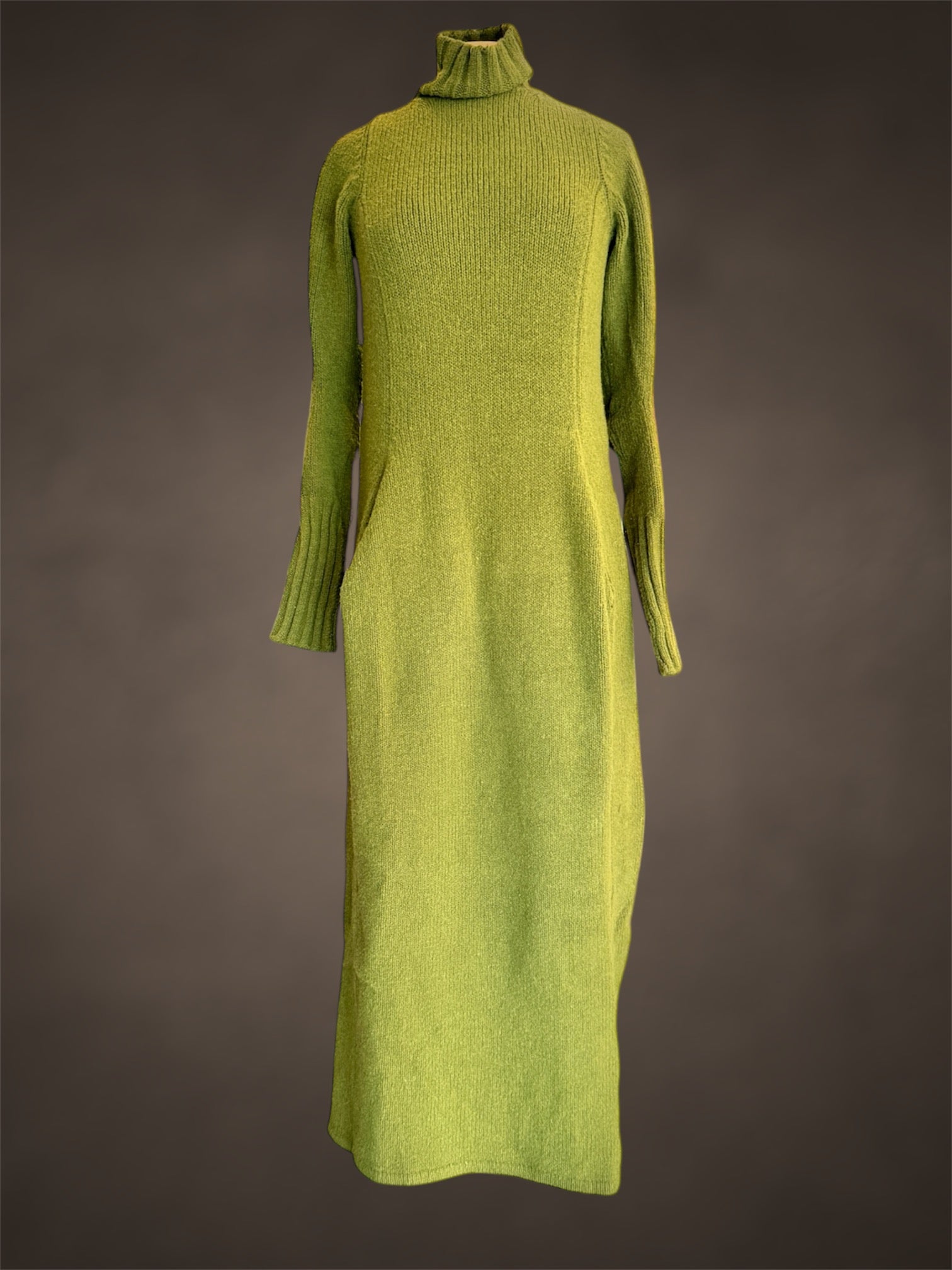 Wool Full Length Dress with turtle neck