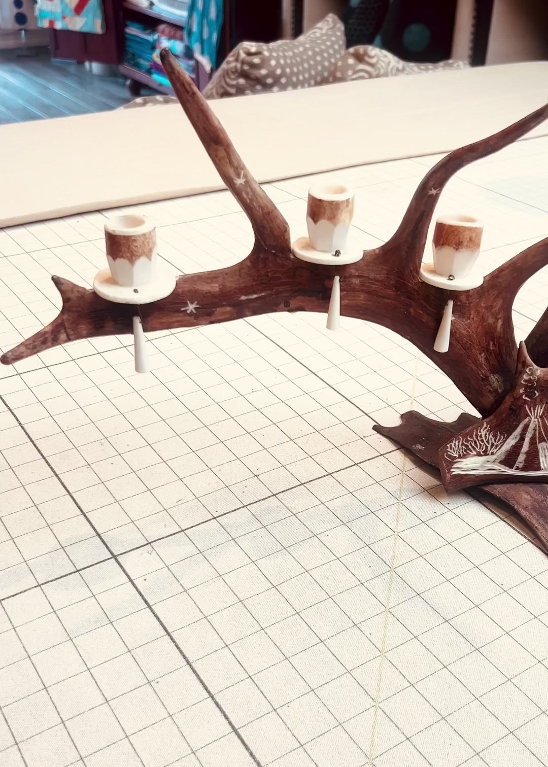 Elkhorn Canleabbra Movie